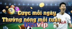 benvip